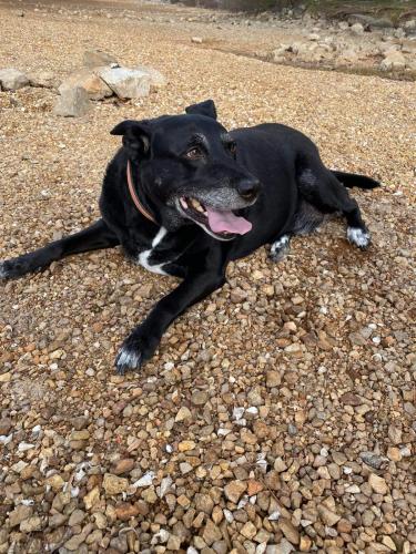 FB_IMG_1704844157288