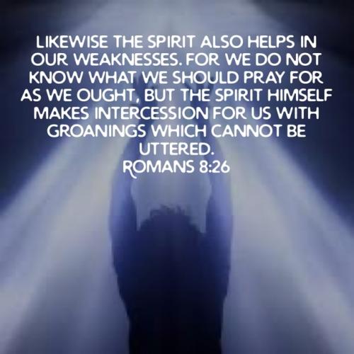 IMG_20240127_132640_638