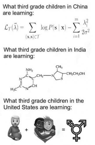School
