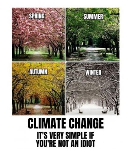 3cee635a982110c6
