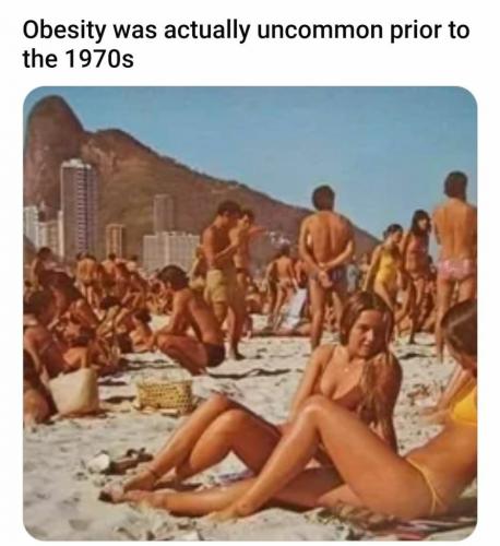 50b08cded903b5b8