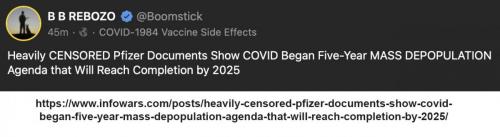 Pfizer 2025