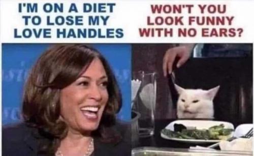286792f02a33b7bf