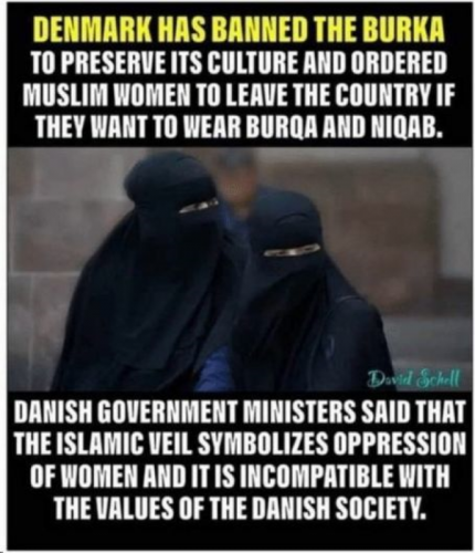 USA Burka