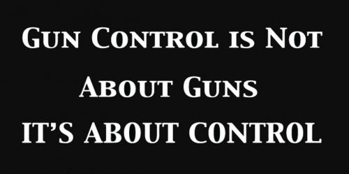 B gun control