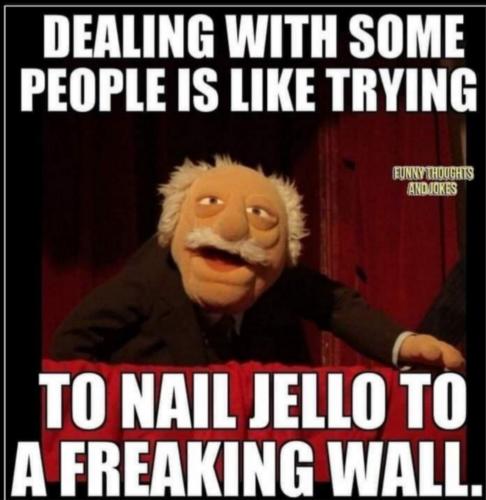 Screenshot_20240131-063050_Gallery