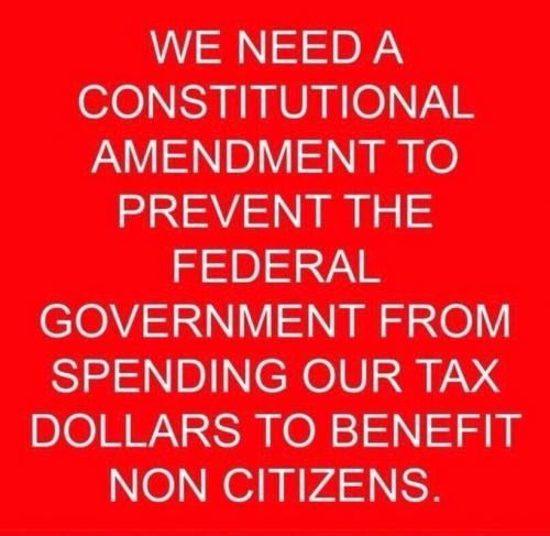 X constitutional amendment