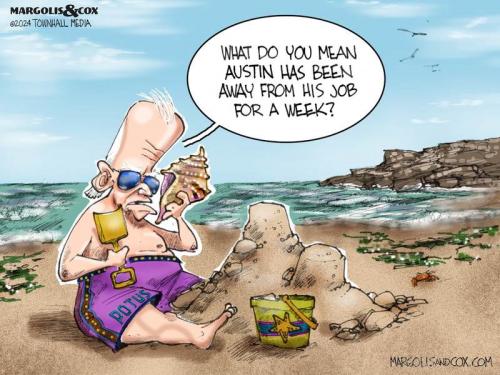 MC_BidenBeach_011124-800x0