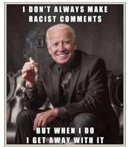 joe-biden-dont-always-make-racist-comments-but-when-i-do-i-get-away-with-it-2139117061