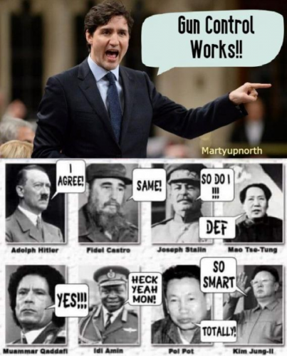 M gun control works