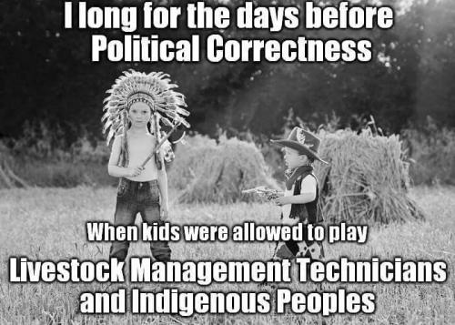 Cowboys and Indians
