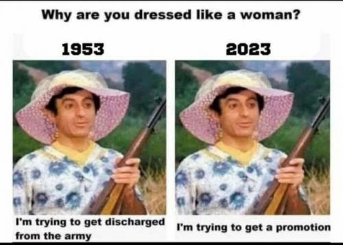 339a2db3fb0ee02c