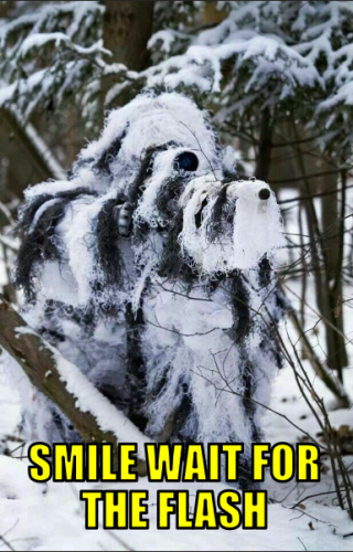 swftf