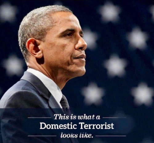 RO domestic terrorist