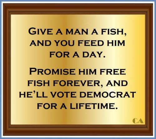 USA free fish