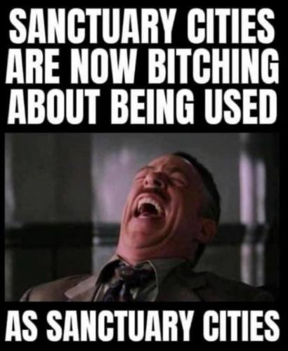 M sanctuary cities