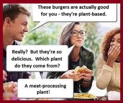 Burgers, Vegan, Vegetarian, Health, Food -- Meat Processing Plant