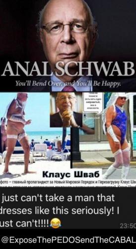 analschawb