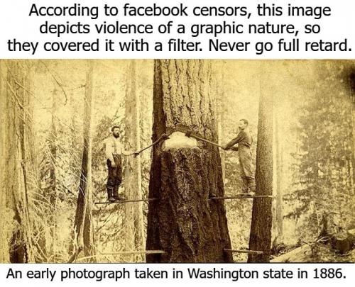 Facebook violent or graphic content