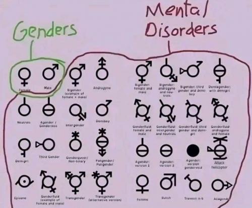 USA Genders Mental Disorders