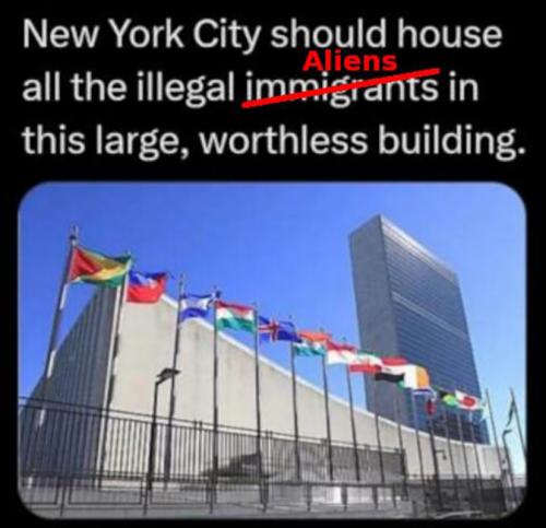 M house illegals