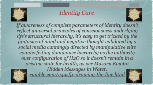 Screen Shot 2024-01-14 at 3.15.49 PM