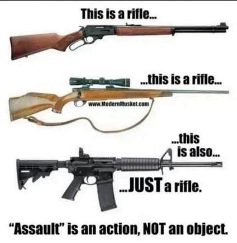 M Rifle