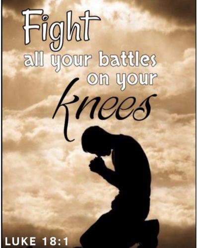 IMG_20240128_154056_061