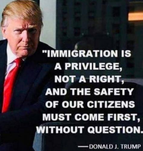 X immigration