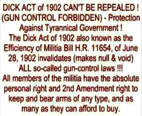 M Dick Act 1902