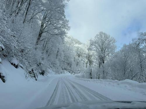 420640976_10224483709028898_4343826552322893803_n