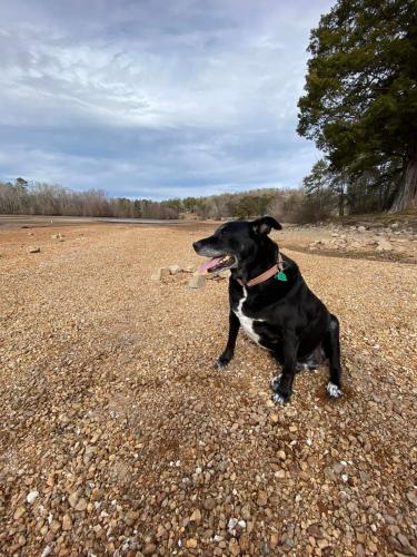 FB_IMG_1704844152432