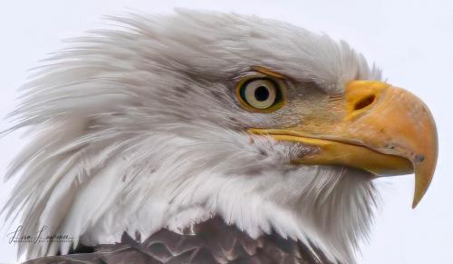 416675849_777815747696117_1435144811383323117_n