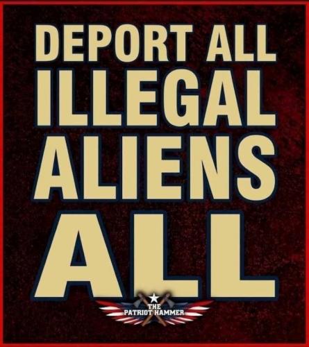 X deport illegals