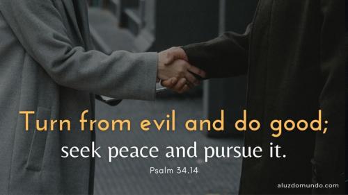 IMG_20240115_093514_850