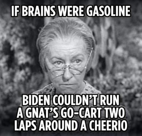 M Brains