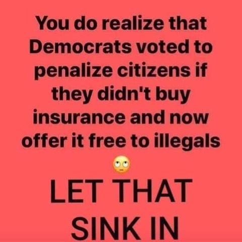 Democrat -- Free Insurance for Illegals, not for Citizens