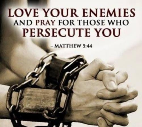 IMG_20240213_090225_519