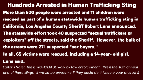 Traffickers Busted