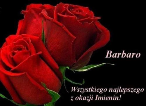 7F668DBE-3B1B-4EAE-B575-0AAB3F2E2A92