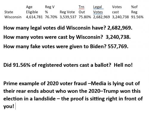 State Voterfraud Michigan