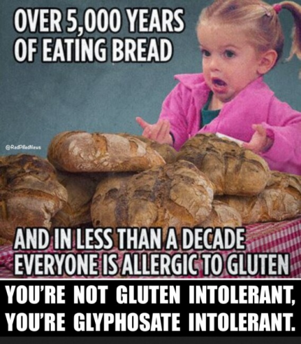bread