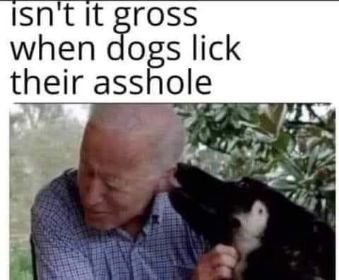 425381559_894907075700395_7859765628099329952_n