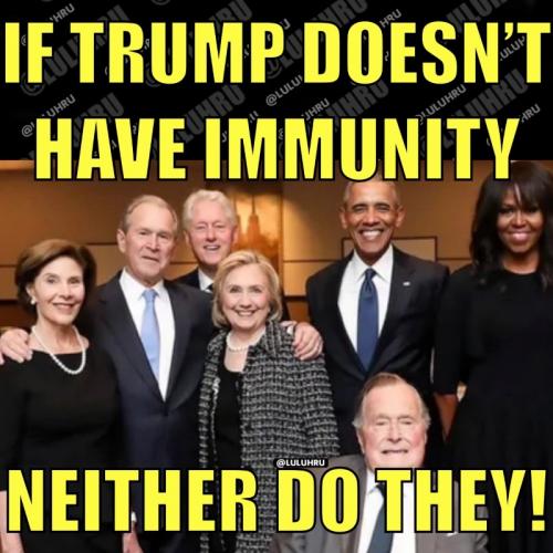 X immunity
