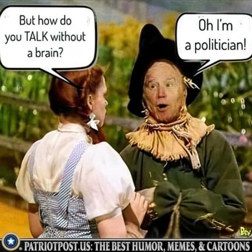 M politician