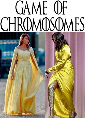 GameOfChromosomes