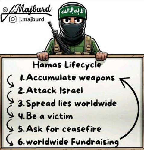 M Hamas Lifecycle