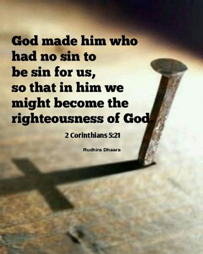 IMG_20240214_085439_798