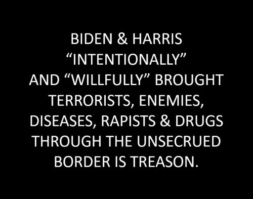B Biden Harris treason