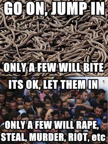 Illegal Immigration -- Snakes and Illegals